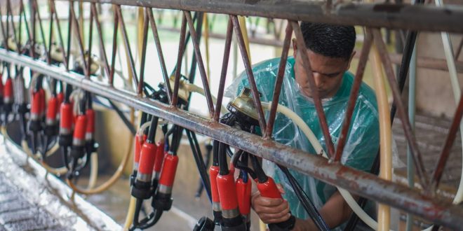 DOST Batangas Eyes Technology Support for 10 Community Associations, Cooperatives