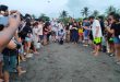Nasugbu Releases Over 280 Olive Ridley Hatchlings to Boost Marine Conservation