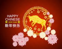 February 12, 2021 - Chinese New Year